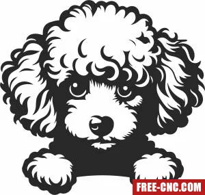 Poodle dog clipart - Free dxf files ready to cut