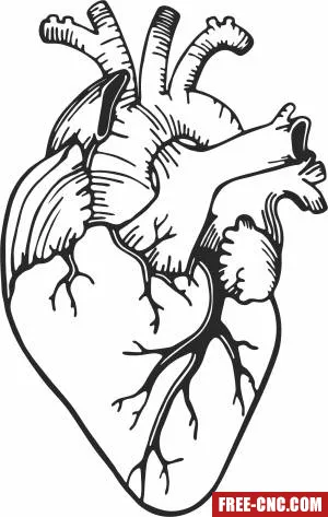 Realistic heart clipart - Free dxf for laser cutting and plasma Realistic heart clipart - Free dxf for laser cutting and plasma