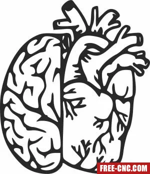 Heart brain cliparts - Free dxf download